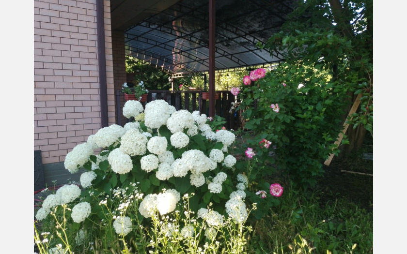 <span>Продается дом 120 м²,</span><span> на участке 8 сот.</span> фото 13